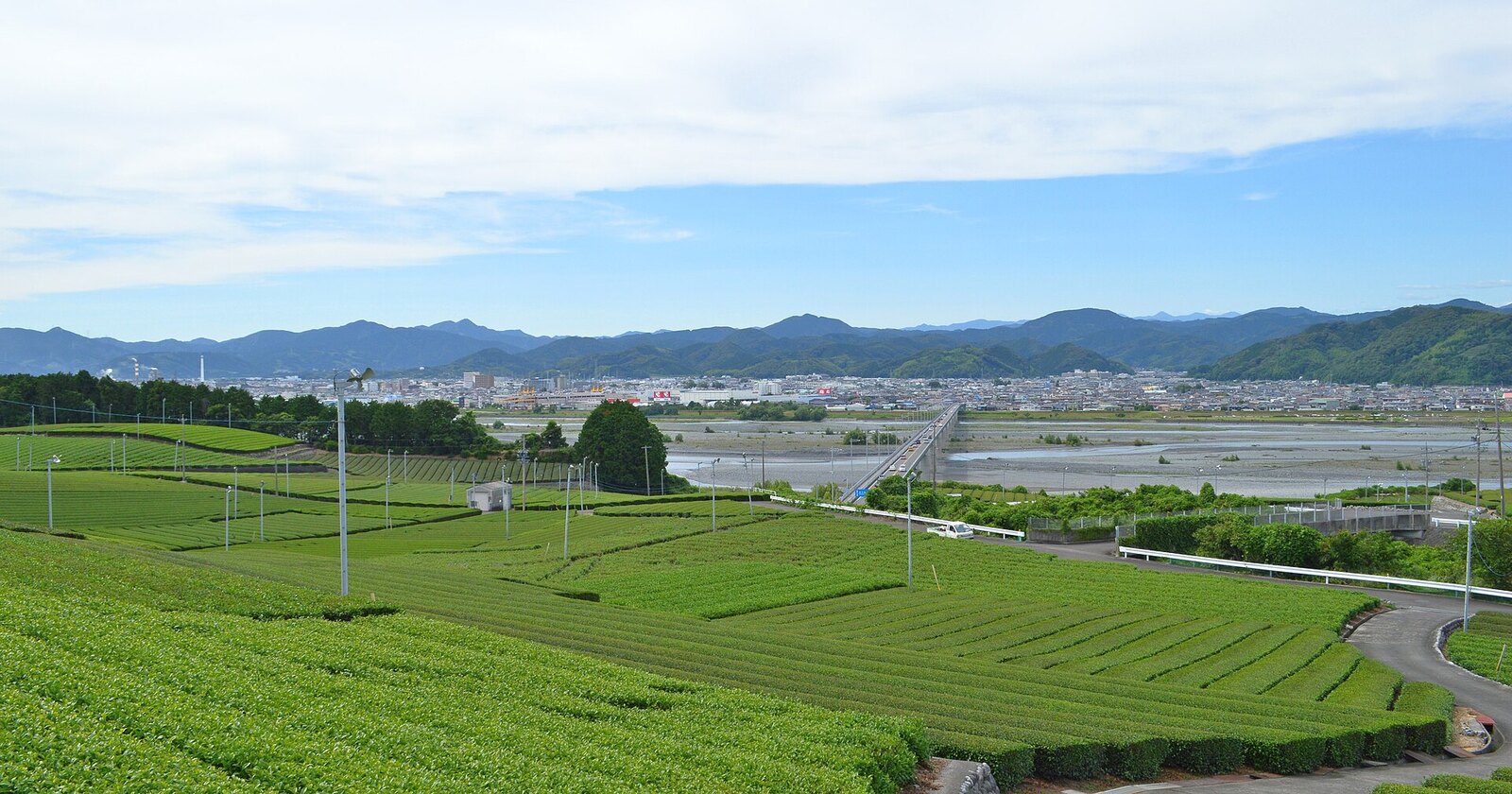 Tea fields on the Makinohara plateau above the Ōi River, Shimada